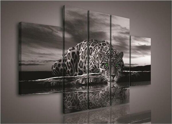 Obraz na plátně Jaguár zelené oči 171S1, rozměr 170 x 100 cm, IMPOL TRADE