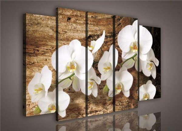 Obraz na plátně orchidej na dřevě 414S12, rozměr 150 x 100 cm, IMPOL TRADE