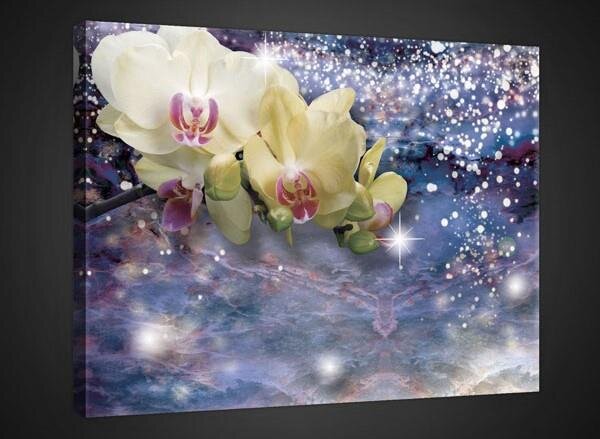 Obraz na plátně orchidej 2320O1, 100 x 75 cm, IMPOL TRADE