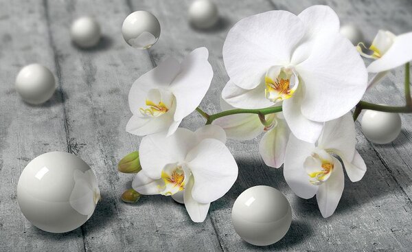 Vliesové fototapety , rozměr 416 cm x 254 cm, orchidej s perlami, IMPOL TRADE 3013 VE XXXL