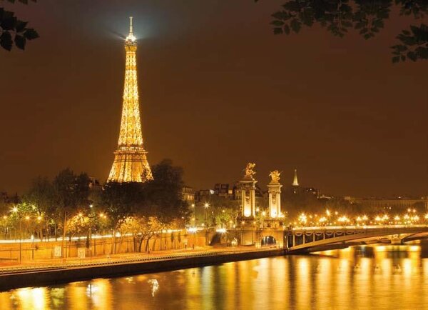 Fototapeta Eiffelova věž v noci, rozměr 254 cm x 184 cm, fototapety Komar 4-321