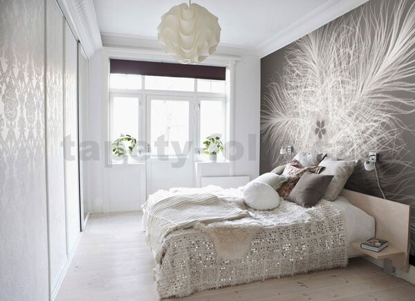 Fototapeta Federstern, rozměr 368 cm x 248 cm, fototapety, KOMAR XXL4-006