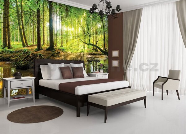 Vliesové fototapety, rozměr 312 cm x 219 cm, les a potok, IMPOL TRADE 10513 VEXXL