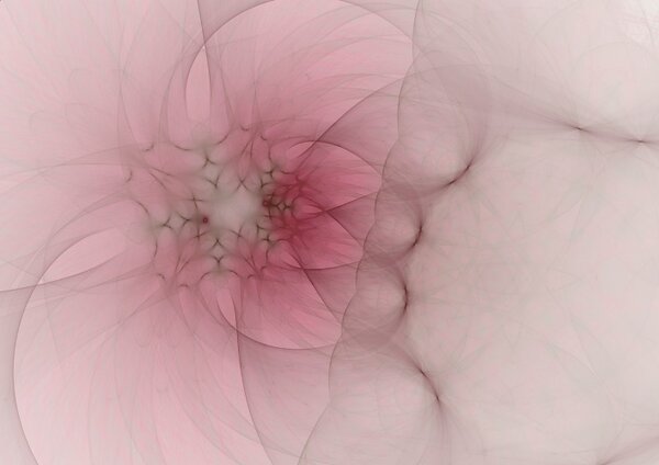 Obraz Rica Belna Graphic Flowers 4