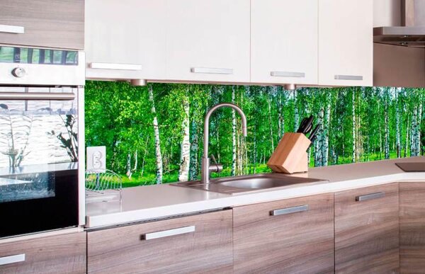Samolepící tapety za kuchyňskou linku, rozměr 260 cm x 60 cm, březový les, DIMEX KI-260-044
