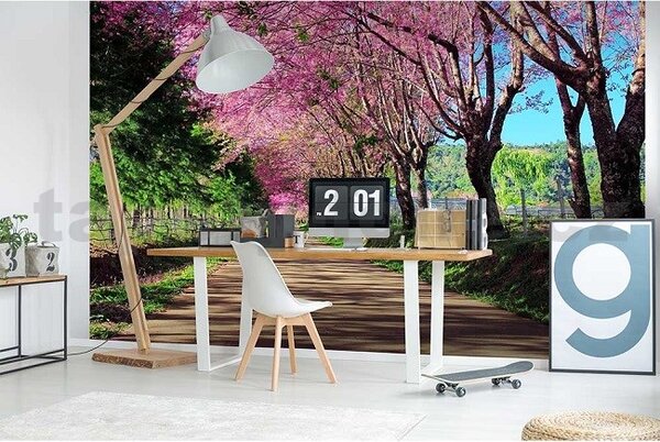 Vliesové fototapety, rozměr 375 cm x 250 cm, rozkvetlá alej, DIMEX MS-5-0106