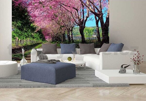 Vliesové fototapety, rozměr 375 cm x 250 cm, rozkvetlá alej, DIMEX MS-5-0106
