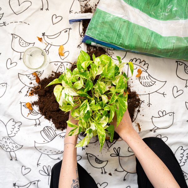 Kobercové omalovánky – Kities with flowers Kruh Ø 130 cm