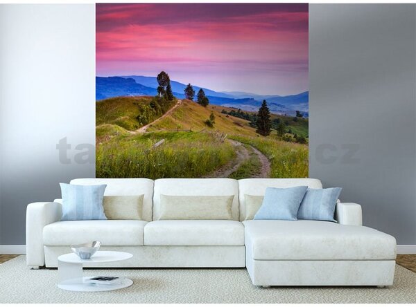 Vliesové fototapety, rozměr 225 cm x 250 cm, kvetoucí kopce, DIMEX MS-3-0061