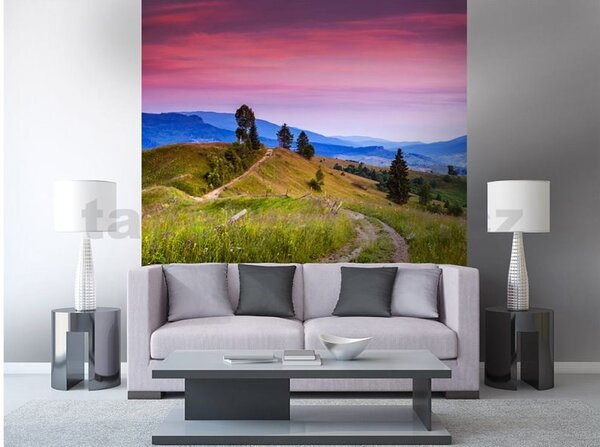 Vliesové fototapety, rozměr 225 cm x 250 cm, kvetoucí kopce, DIMEX MS-3-0061