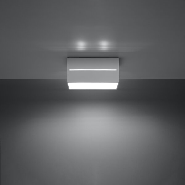 Sollux Lighting Stropní svítidlo LOBO 2 bílé