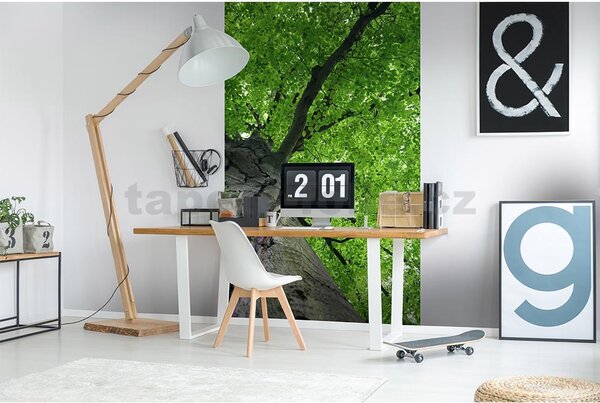 Vliesové fototapety, rozměr 150 cm x 250 cm, koruny stromů, DIMEX MS-2-0101