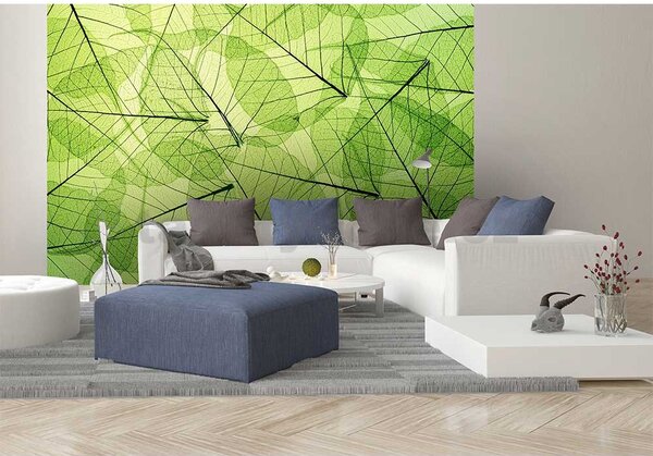 Vliesové fototapety, rozměr 375 cm x 250 cm, listové žíly, DIMEX MS-5-0111