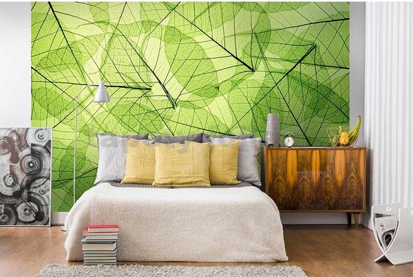 Vliesové fototapety, rozměr 375 cm x 250 cm, listové žíly, DIMEX MS-5-0111