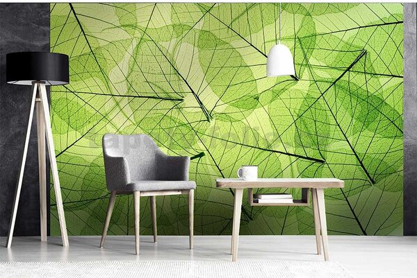 Vliesové fototapety, rozměr 375 cm x 250 cm, listové žíly, DIMEX MS-5-0111