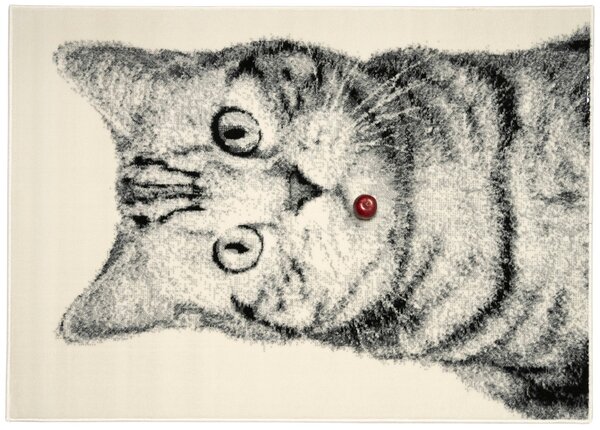 Alfa Carpets, Kusový koberec Cat grey, 80x120, šedá, dětský pokoj