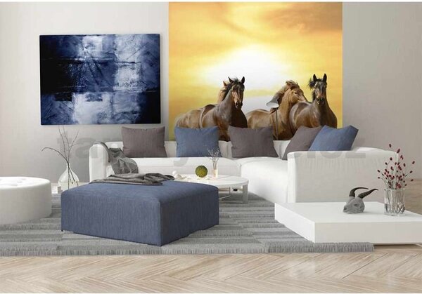 Vliesové fototapety, rozměr 225 cm x 250 cm, koně při západu slunce, DIMEX MS-3-0227