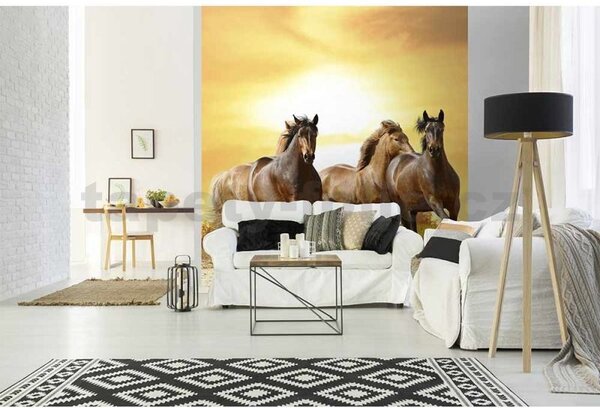 Vliesové fototapety, rozměr 225 cm x 250 cm, koně při západu slunce, DIMEX MS-3-0227