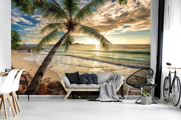 Vliesové fototapety 11732 V8, rozměr 368 cm x 254 cm, palma a pláž, IMPOL TRADE