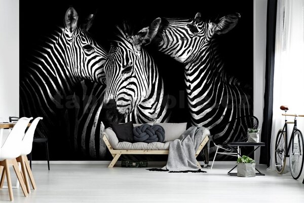 Vliesové fototapety 11761 V8, rozměr 368 cm x 254 cm, zebry, IMPOL TRADE