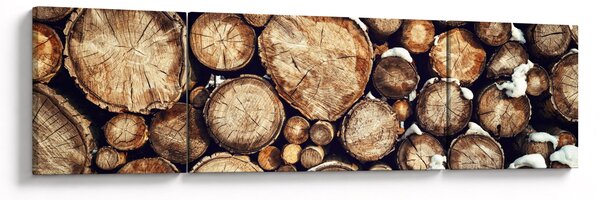 Obraz - Dřevo ve sněhu (170x50 cm)