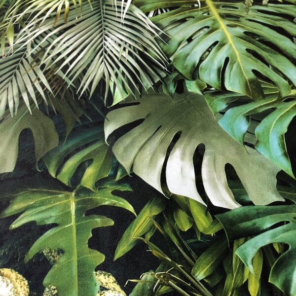 Vliesové tapety na zeď Greenery 37280-2, rozměr 10,05 m x 0,53 m, palmové listy a listy Monstera zelené, A.S. Création