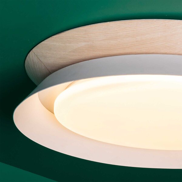 Faro Tender LED přisazené dřevěné svítidlo Černá