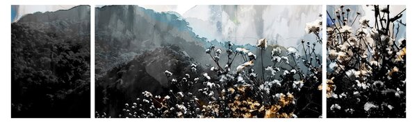 Obraz - Ilustrace divokých květin (170x50 cm)