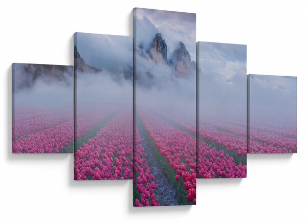 Obraz - Krajina s tulipánovými poli (125x70 cm)