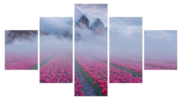 Obraz - Krajina s tulipánovými poli (125x70 cm)