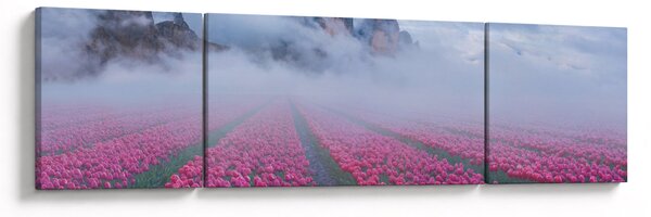 Obraz - Krajina s tulipánovými poli (170x50 cm)