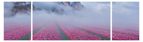 Obraz - Krajina s tulipánovými poli (170x50 cm)