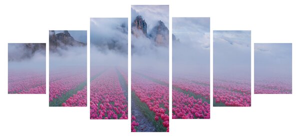 Obraz - Krajina s tulipánovými poli (210x100 cm)