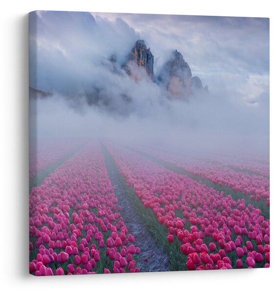 Obraz - Krajina s tulipánovými poli (30x30 cm)