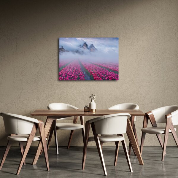 Obraz - Krajina s tulipánovými poli (70x50 cm)