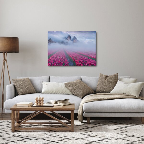 Obraz - Krajina s tulipánovými poli (70x50 cm)