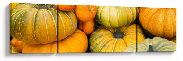 Obraz - Podzimní dýně (170x50 cm)