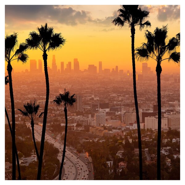 Obraz - Panorama Los Angeles (30x30 cm)