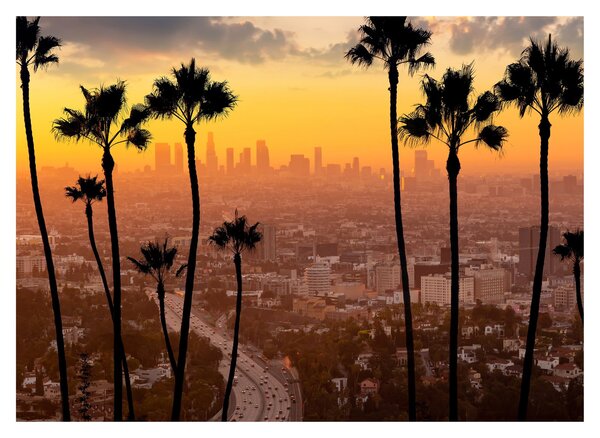 Obraz - Panorama Los Angeles (70x50 cm)