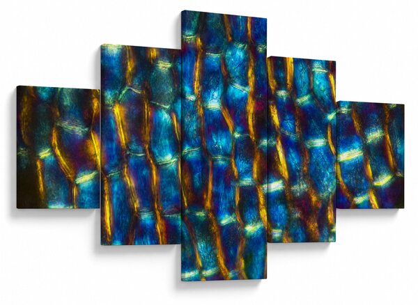 Obraz - Buněčná stěna (125x70 cm)