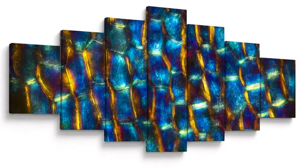 Obraz - Buněčná stěna (210x100 cm)
