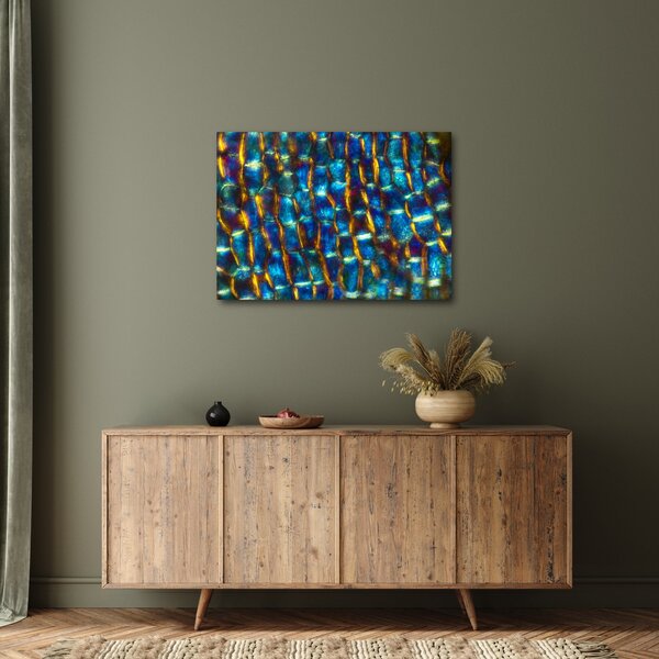 Obraz - Buněčná stěna (70x50 cm)