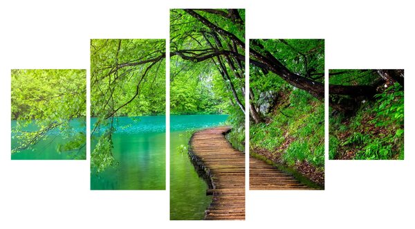 Obraz - Plitvická jezera (125x70 cm)