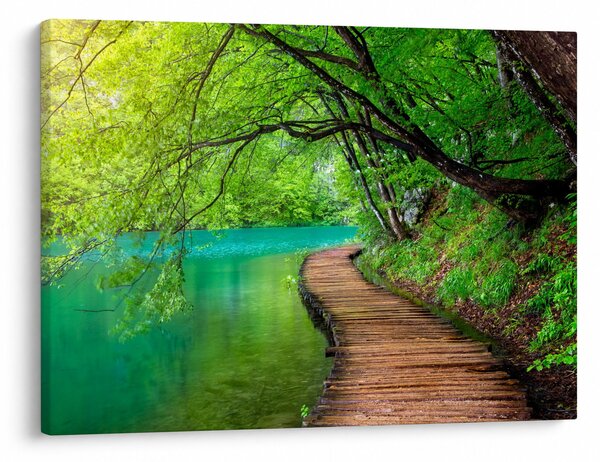 Obraz - Plitvická jezera (70x50 cm)