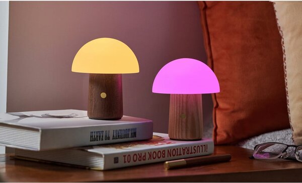 Stmívatelná stolní lampa v přírodní barvě se skleněným stínidlem (výška 13 cm) Alice – Gingko