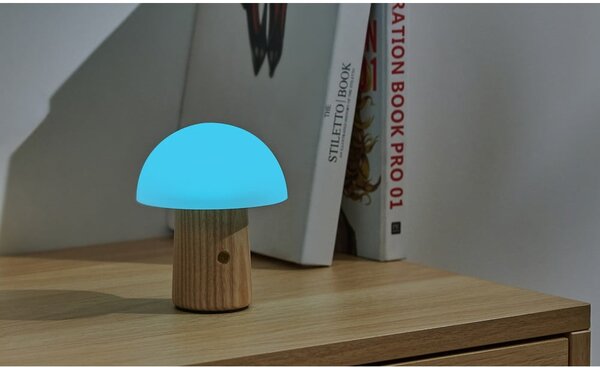 Stmívatelná stolní lampa v přírodní barvě se skleněným stínidlem (výška 13 cm) Alice – Gingko