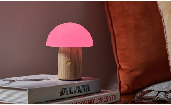 Stmívatelná stolní lampa v přírodní barvě se skleněným stínidlem (výška 13 cm) Alice – Gingko