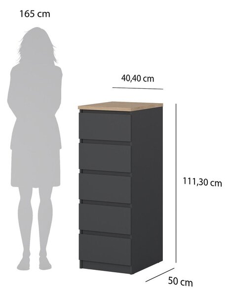 Tmavě šedá komoda 40x111x50 cm Naia – Tvilum