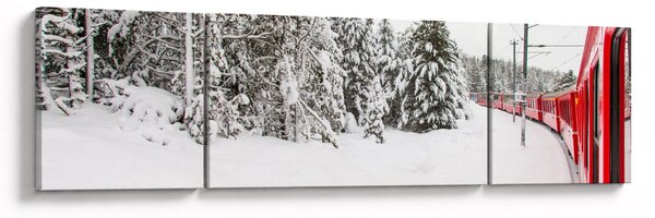 Obraz - Vlak v zasněžené krajině (170x50 cm)