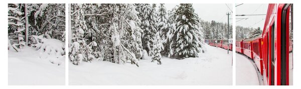 Obraz - Vlak v zasněžené krajině (170x50 cm)
